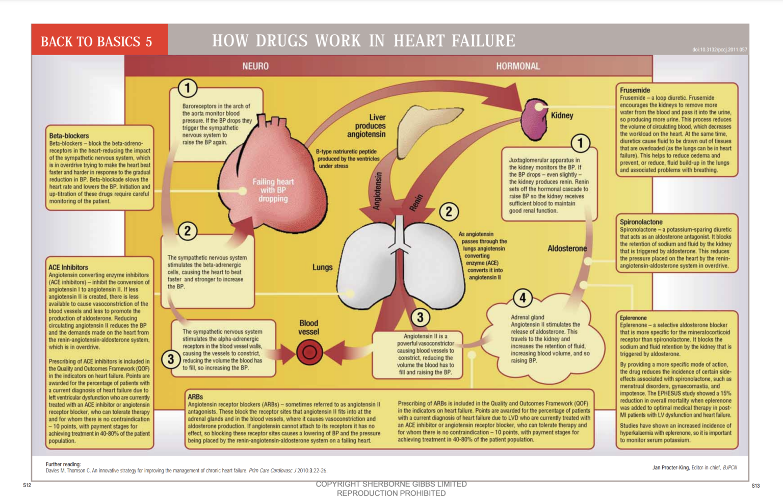 Back to Basics: How drugs work in heart failure - Issues and Answers