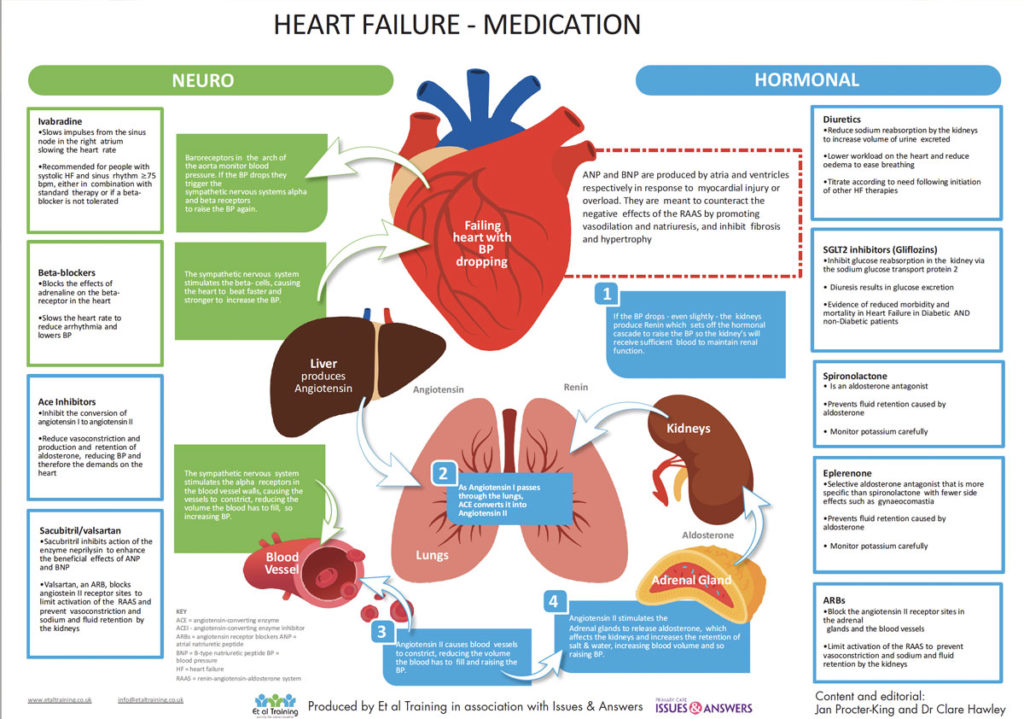 Back to basics: Heart failure medication