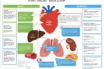 Back to basics: Heart failure medication