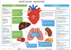 Back to basics: Heart failure medication