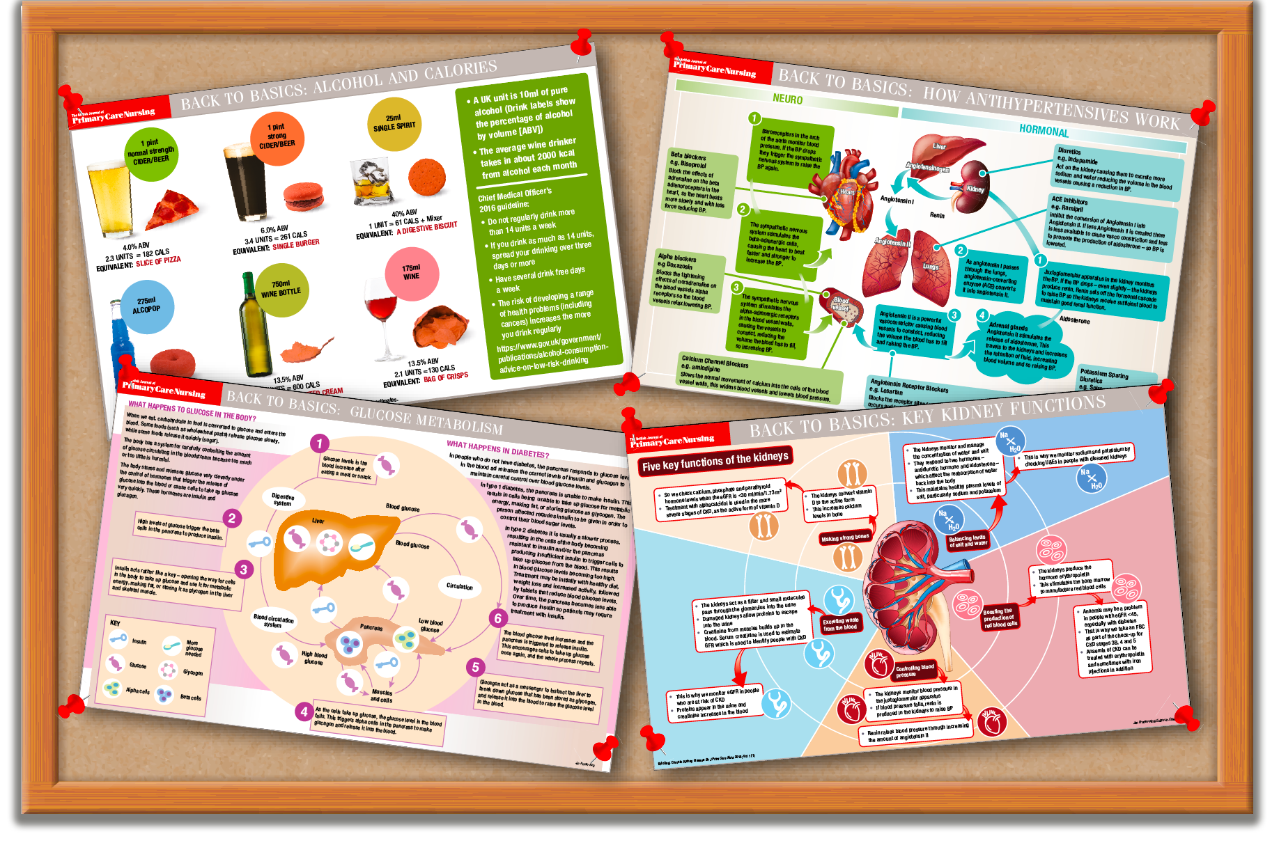 Back to Basics infographics on a notice board