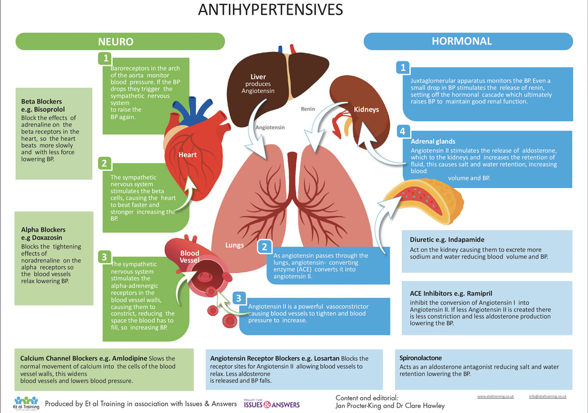 Hypertension Back to Basics infographic