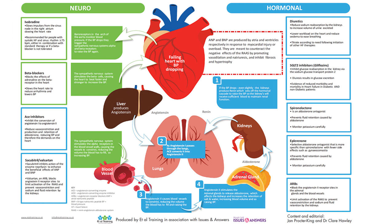 Heart failure medication Back to Basics infographic