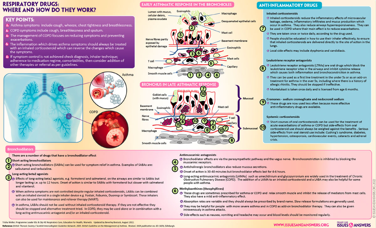 Heart failure medication Back to Basics infographic