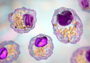 Lipid foam cells