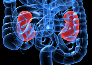 Renal disease